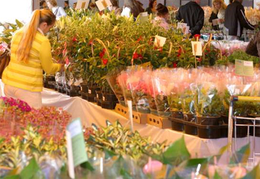 12º Expoflor