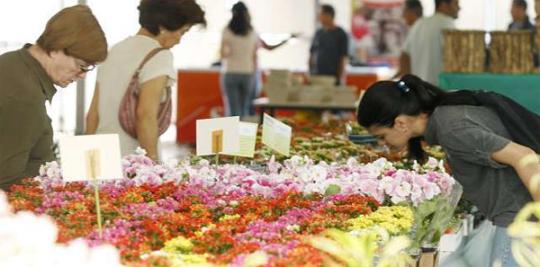 13ª Expoflor de Maringá
