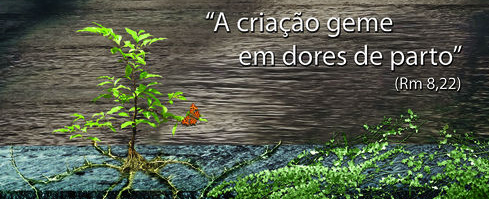 Campanha da Fraternidade de 2011