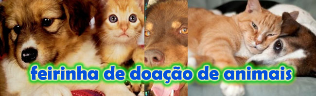 PET: Feirinha de doação de animais