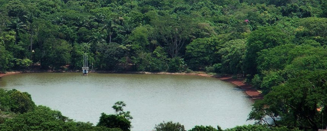 EVENTO: 40 anos do Parque do Ingá