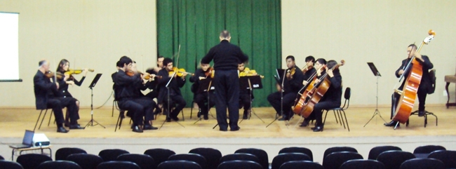 MÚSICA: Camerata luzamor