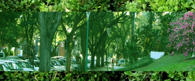 I Simpósio Paranaense de Floricultura