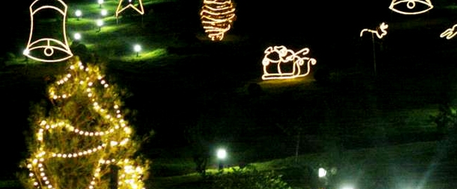 NATAL: Multirão para Arranjos Natalinos