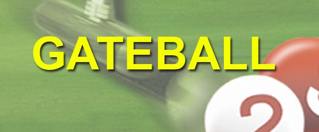 ESPORTE: 196º Campeonato Paranaense de Gateball