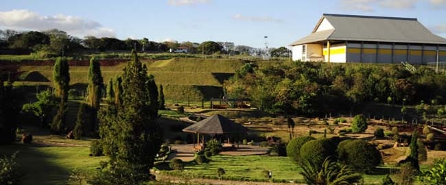 JARDINAGEM: 2º Mutirão de 2013