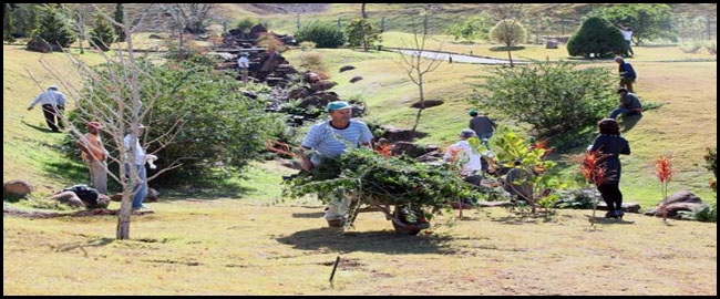 PARQUE DO JAPÃO: 3º Mutirão de Cuidados com o Jardim Japonês.