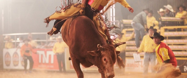 EXPOINGÁ: Rodeio.