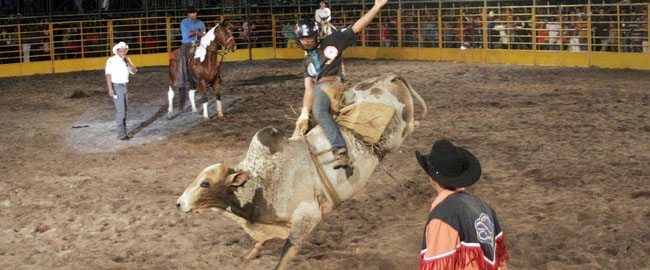 EXPOINGÁ: Rodeio.