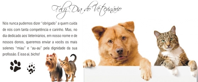 FEIRA: Doação de Filhotes
