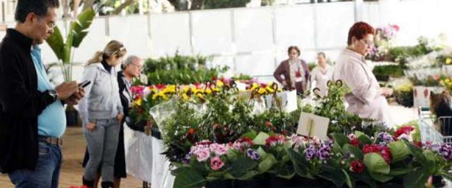 EXPOSIÇÃO: Expo Flores