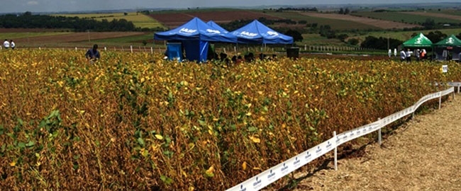 AGRONEGÓCIO: 6ª Agrocampo