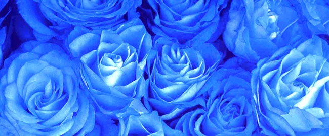 SAÚDE: Campanha Novembro Azul