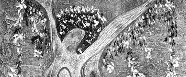 LITERATURA: “Os passos das romãs e das cerejas”