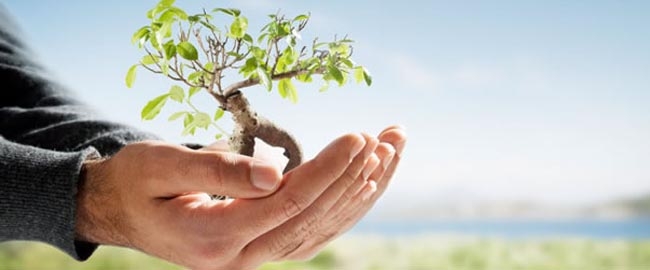 MEIO AMBIENTE: Semana do Meio Ambiente de Maringá