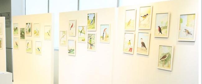 EXPOSIÇÃO: ''Aves e Pássaros do Brasil''