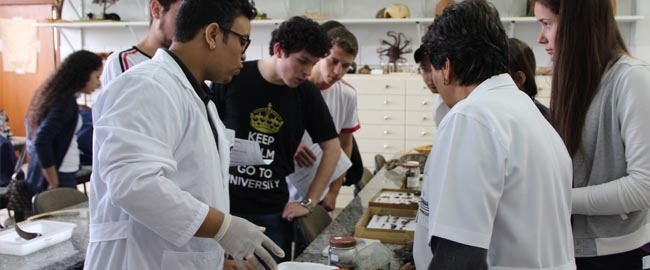 MOSTRA DE PROFISSÕES: Rotary Clubes de Maringá