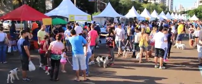 DIVERSÃO E LAZER: Pet Day Cãominhada