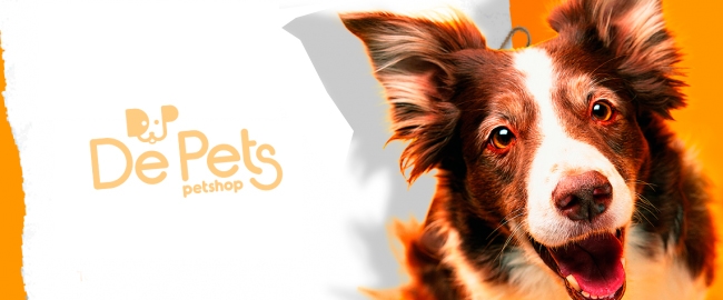 PETS: Para Você e seu Pet viver ainda  melhor
