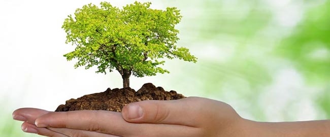 PALESTRA: Psicologia Ambiental e Práticas Interdisciplinares