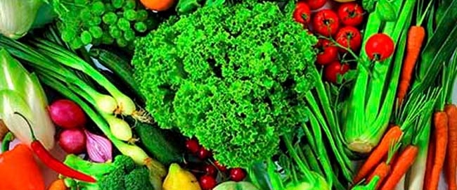 SAÚDE: Feira Produtos Orgânicos
