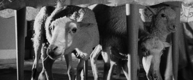 CONVITE AO CINEMA: “O Anjo Exterminador”