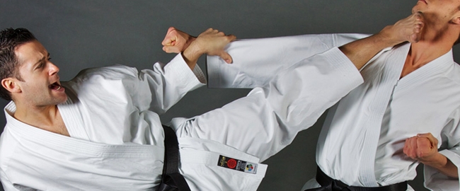 CULTURA E ESPORTES: Festival de Artes Marciais
