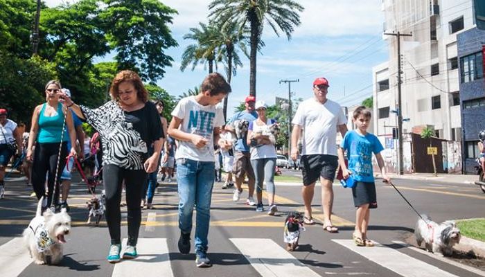 DIVERSÃO E LAZER: Pet Day Cãominhada