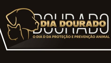 FILANTROPIA: Dia Dourado
