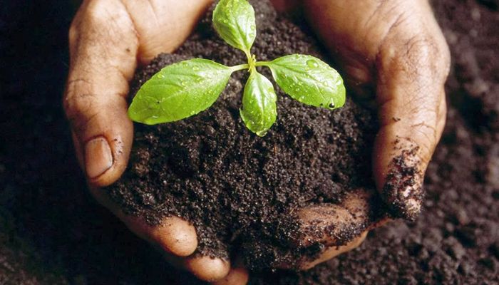 UEM: Encontro Maringaense de Biologia
