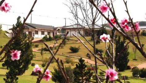 LANÇAMENTO: Livro "Parque do Japão – Um Cartão Postal