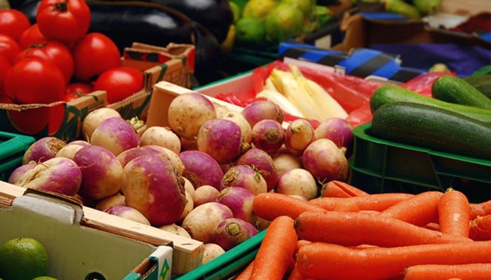 SAÚDE: Feira Organamix
