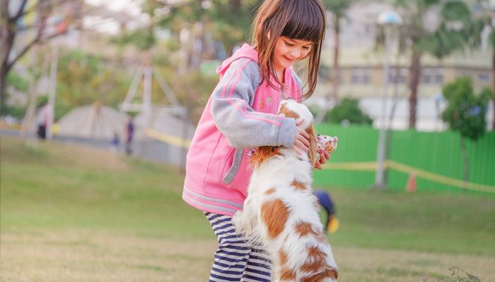 DIVERSÃO E LAZER: Cãominhada Marista