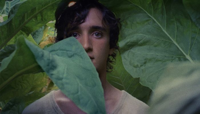 CONVITE AO CINEMA: "Lazzaro Felice"
