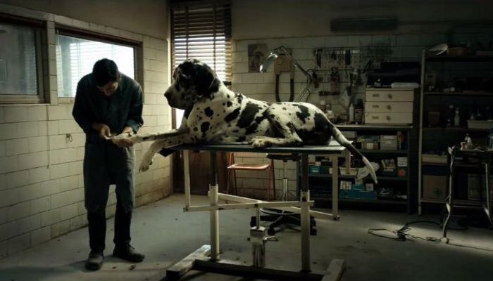 CONVITE AO CINEMA: "Dogman"
