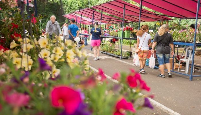EXPOSIÇÂO: Feira das Flores