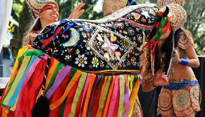 CULTURA: Mostra Nós-derstinos Culturais