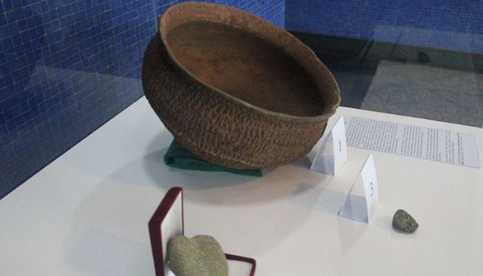 MINI-EXPOSIÇÃO: "Maringá Raízes"