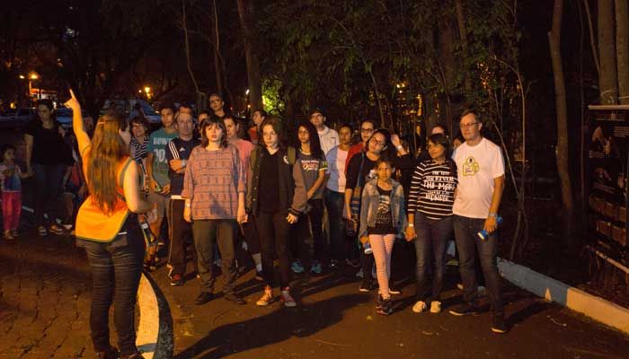 NATUREZA: Noite dos Morcegos 2019