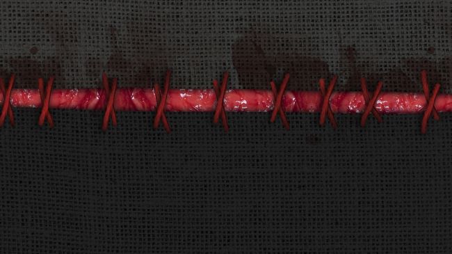PROJETO: Âmago