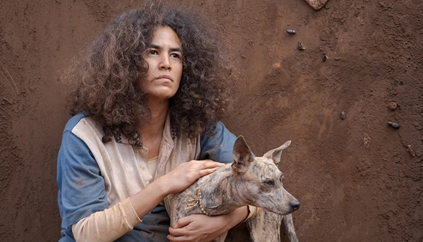 Cine 2 Coelhos: "O Silêncio das Ostras"