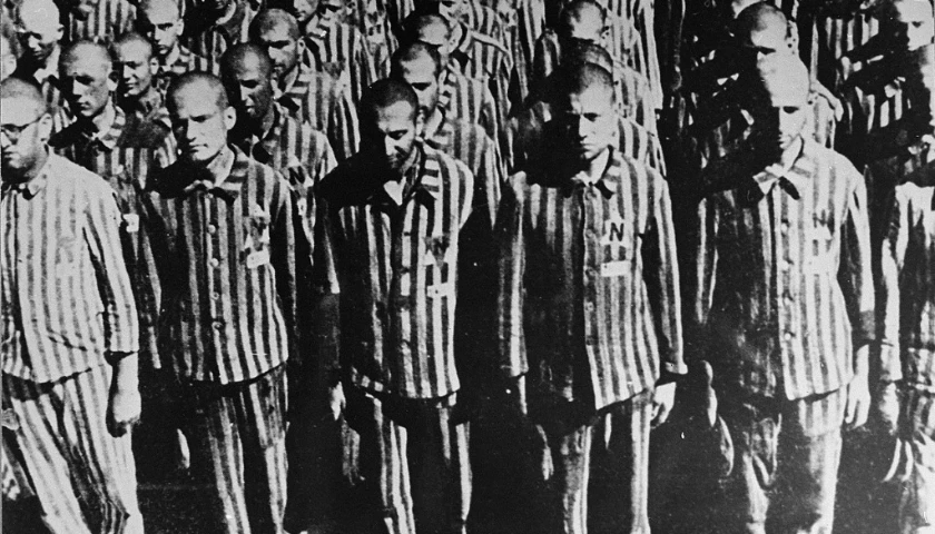 Convite ao Cinema: "Noite e Neblina"