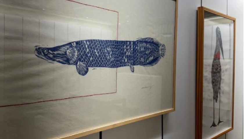 Exposição: ‘Entre Escamas’