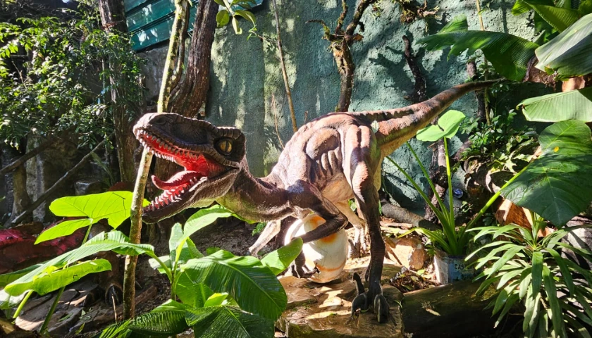Exposição: "Jurássico Condor"