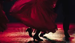 Convite à Dança: "Ginateria"