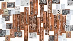 Exposição de Alessandro Corrêa em Maringá