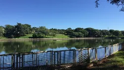 Expresso Cultural em Maringá