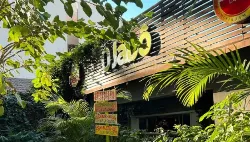 Jardim do Samba: Especial dia dos Pais