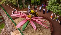 Primavera Encantada: Natureza Gigante