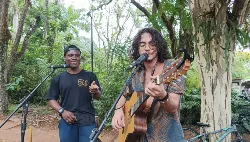 Palco Livre - Edição Sarau